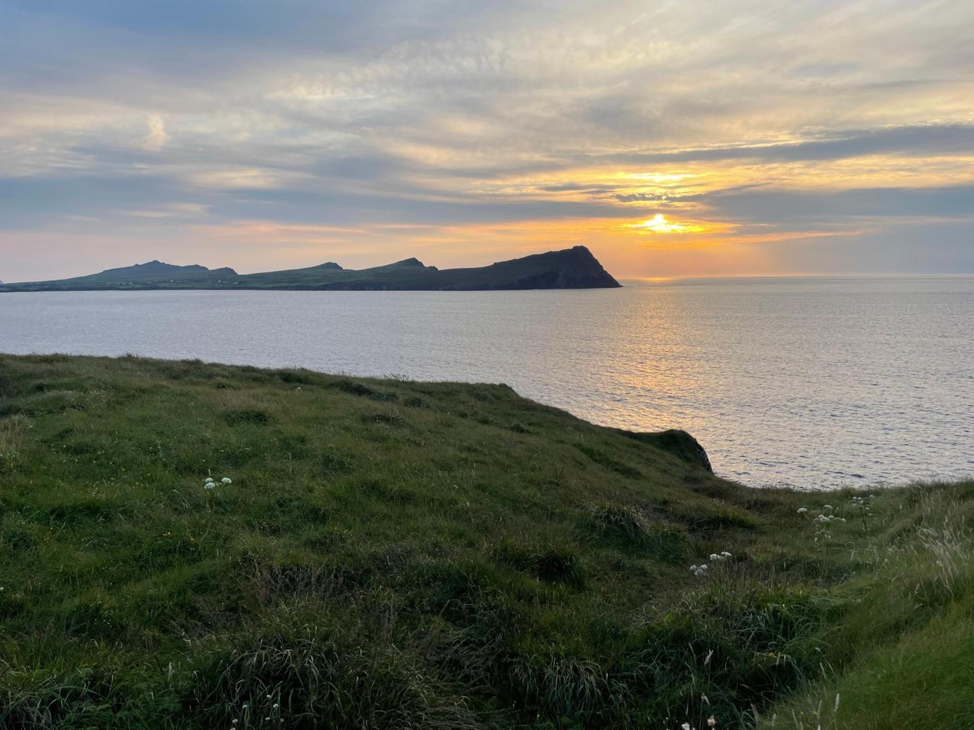 Murphy'S Guesthouse Dingle Eksteriør billede