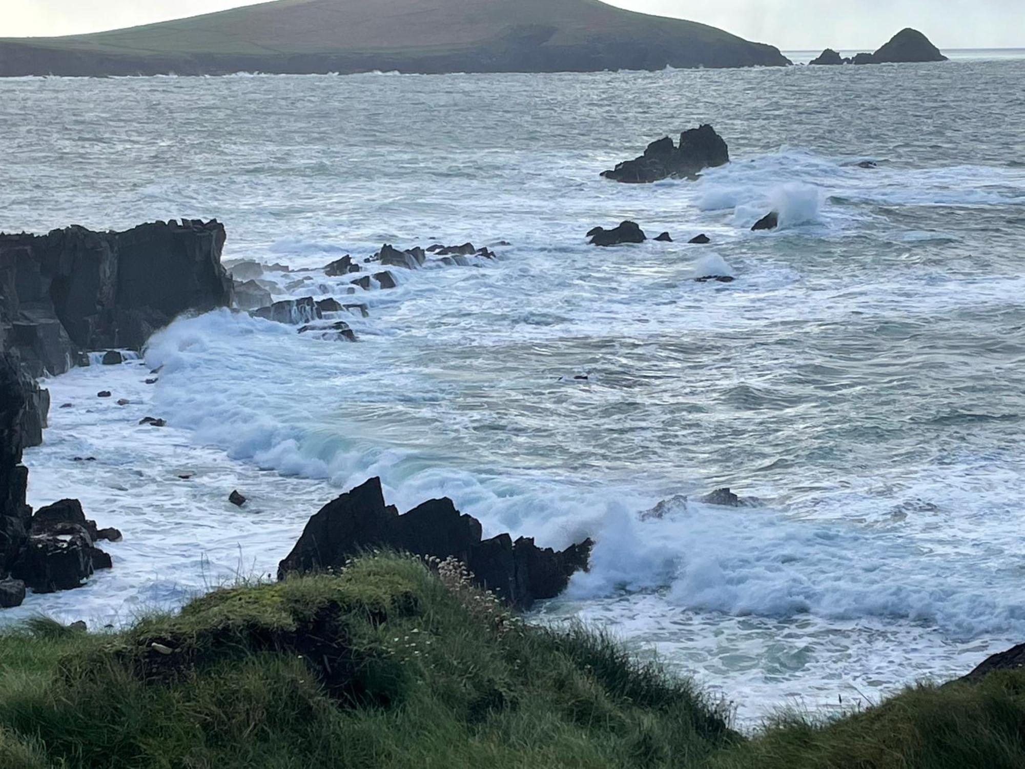 Murphy'S Guesthouse Dingle Eksteriør billede